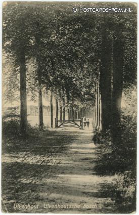Ulvenhout, Ulvenhoutsche bosch ansichtkaart: Ulvenhout, Ulvenhoutsche bosch