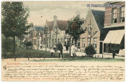 Zaandam, Plantsoen Gedempte Gracht ansichtkaart: Zaandam, Plantsoen Gedempte Gracht