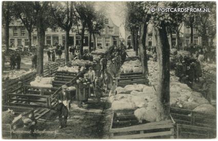 ansichtkaart: Purmerend, Schapenmarkt