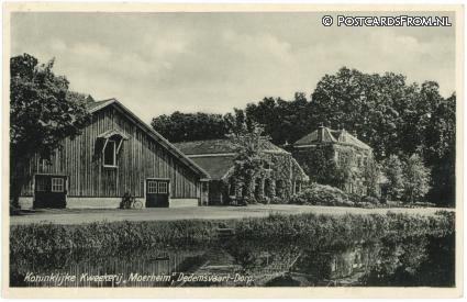 ansichtkaart: Dedemsvaart, Koninklijkje Kweekerij 'Moerheim'
