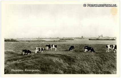 Herwijnen, Riviergezicht ansichtkaart: Herwijnen, Riviergezicht