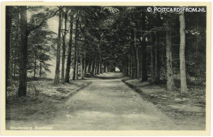 ansichtkaart: Woudenberg, Boschlaan