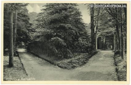 ansichtkaart: Woudenberg, Boschgezicht