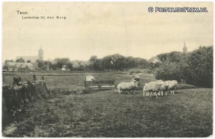 ansichtkaart: Den Burg, Texel. Landschap bij Den Burg