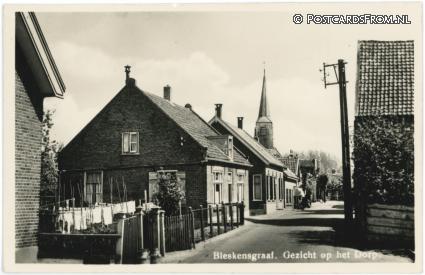 ansichtkaart: Bleskensgraaf, Gezicht op het Dorp