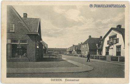 ansichtkaart: Dieren, Emmastraat