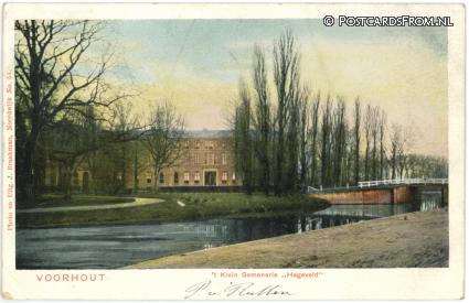 ansichtkaart: Voorhout, 't Klein Semenarie 'Hageveld'