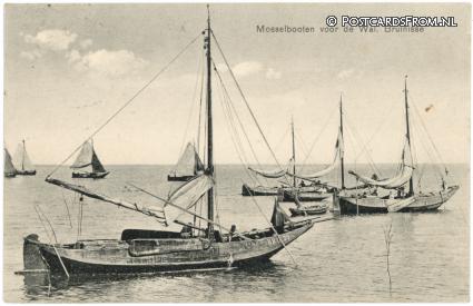 Bruinisse, Mosselbooten voor de Wal ansichtkaart: Bruinisse, Mosselbooten voor de Wal