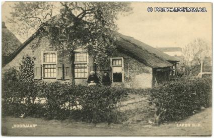 ansichtkaart: Laren NH, Voorjaar