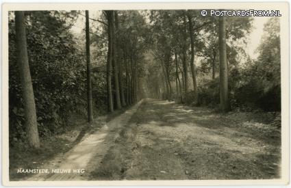 ansichtkaart: Burgh-Haamstede, Haamstede, Nieuwe weg