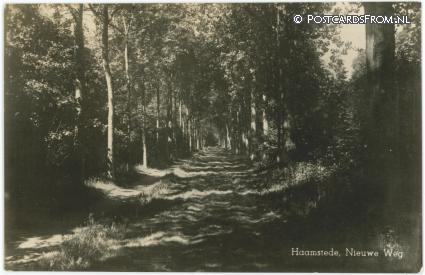 ansichtkaart: Burgh-Haamstede, Nieuwe Weg