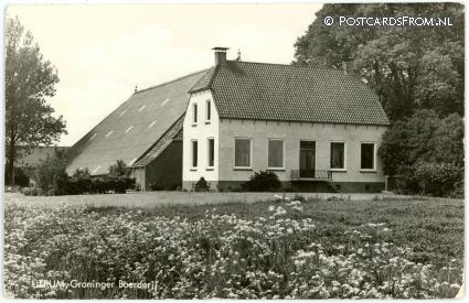 ansichtkaart: Ulrum, Groninger Boerderij
