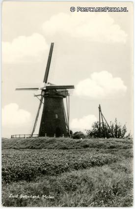 Zuid-Beijerland, Molen ansichtkaart: Zuid-Beijerland, Molen