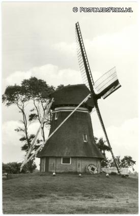 ansichtkaart: Nijetrijne, Veendijk 4
