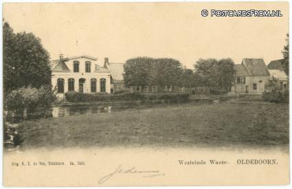 ansichtkaart: Oldeboorn, Westeinde Waeze