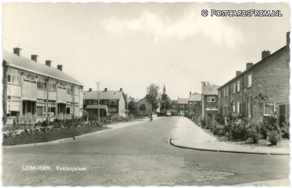 Leimuiden, Kastanjelaan ansichtkaart: Leimuiden, Kastanjelaan