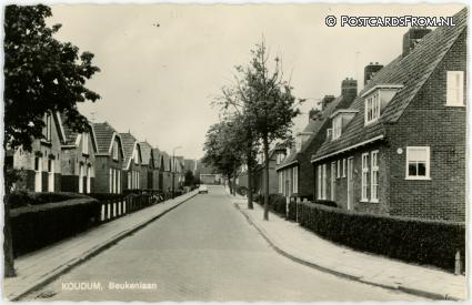 ansichtkaart: Koudum, Beukenlaan
