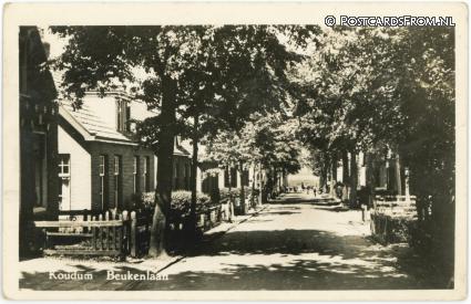 Koudum, Beukenlaan ansichtkaart: Koudum, Beukenlaan