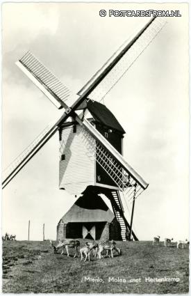 Mierlo, Molen met Hertenkamp ansichtkaart: Mierlo, Molen met Hertenkamp