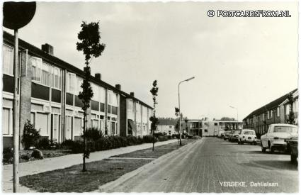 ansichtkaart: Yerseke, Dahlialaan