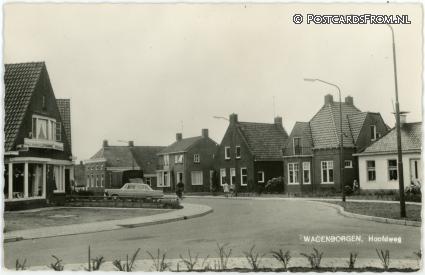 ansichtkaart: Wagenborgen, Hoofdweg