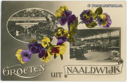 ansichtkaart: Naaldwijk, Groeten uit