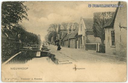 Nieuwkoop, Dorpsgezicht ansichtkaart: Nieuwkoop, Dorpsgezicht