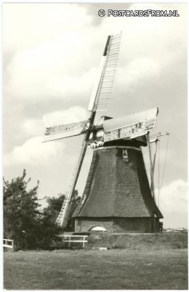 ansichtkaart: Zuidwolde GN, ? Koninglaagte Ao.. 1878