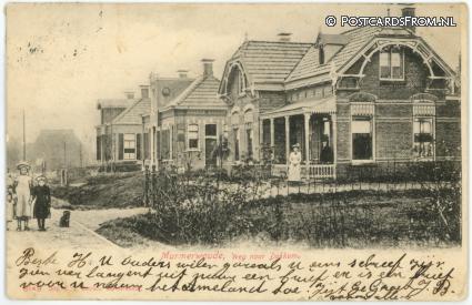ansichtkaart: Murmerwoude, Weg naar Dokkum